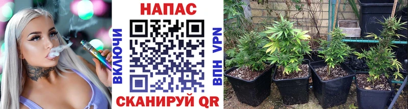Продажа наркотиков Суздаль АМФЕТАМИН  Меф  А ПВП 