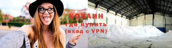 сатива Липки