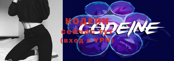 МДПВ Лагань