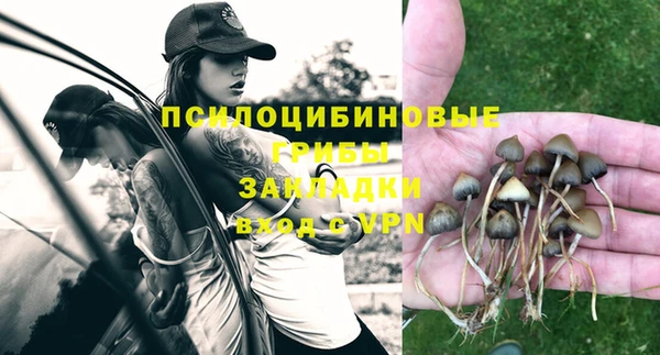 гашик Лабытнанги
