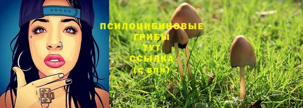 героин Ладушкин
