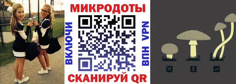 Псилоцибиновые грибы Magic Shrooms  OMG зеркало  Суздаль  наркошоп 